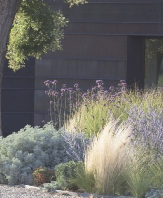 Wide Trädgårdsdesign, blomster